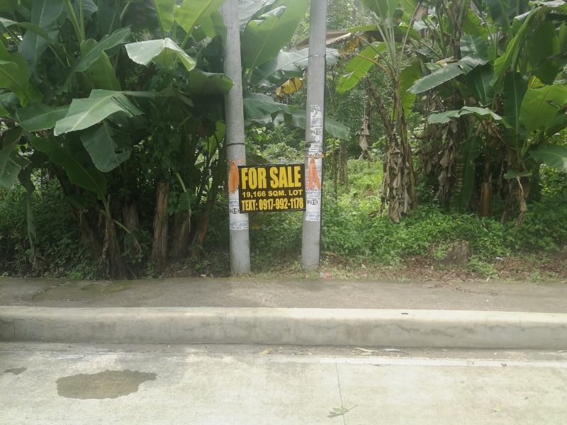 19,166 sqm Lot For Sale In Tayabas Lucban, Quezon