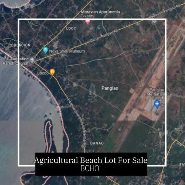 Agricultural Beach Lot For Sale in Panglao Island Bohol