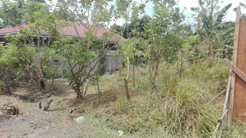 200 sqm Residential Lot for Sale at Dasmariñas, Cavite