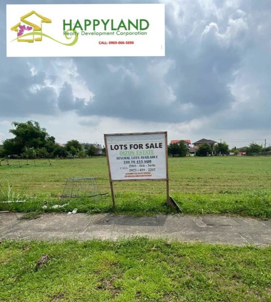 282sqm Dizon Estate Residential Lot for Sale. Blk 53 Lot 10 Phase 7,San ...