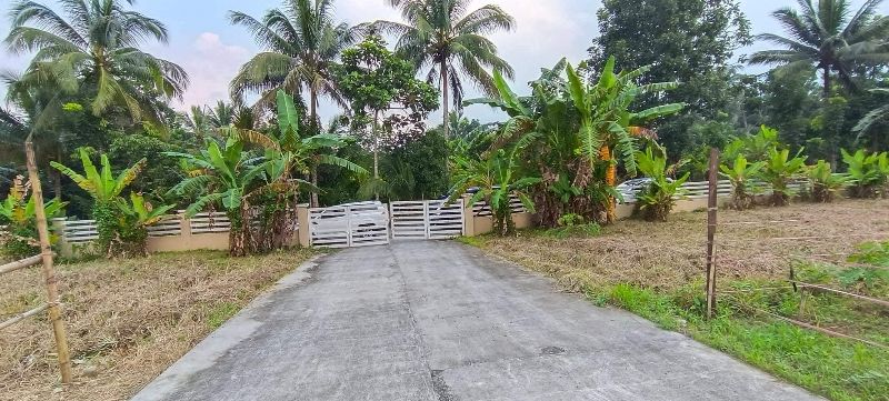 Residential farm lot for sale in banay banay amadeo cavite