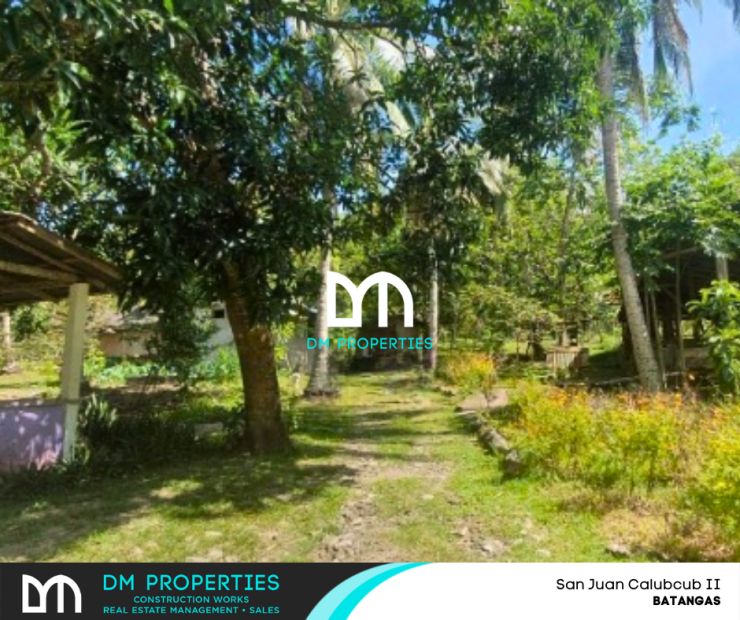 For Sale: Agricultural Lot at San Juan Calubcub II, Batangas