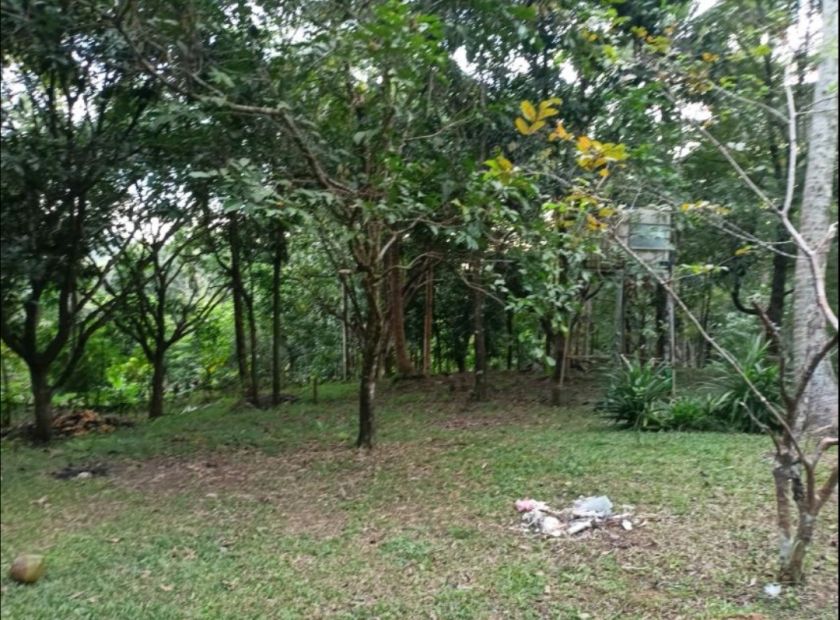 Lot for Sale In Sta Maria Laguna