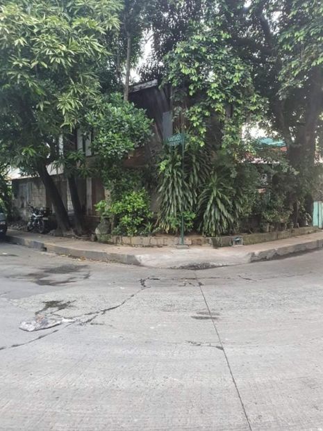 Residential lot For Sale in Bagong Ilog, Pasig City, Metro Manila