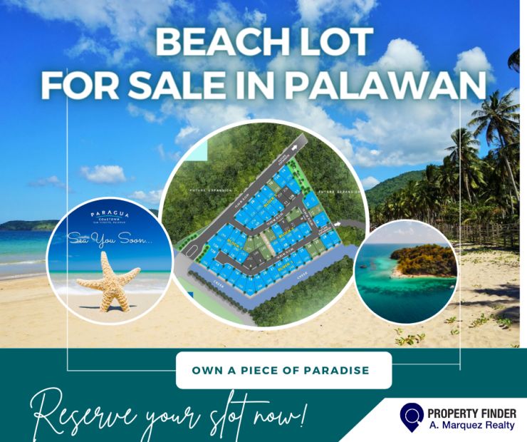 Beach Residential Lot For Sale In Palawan Township San Vicente By Megaworld 1846