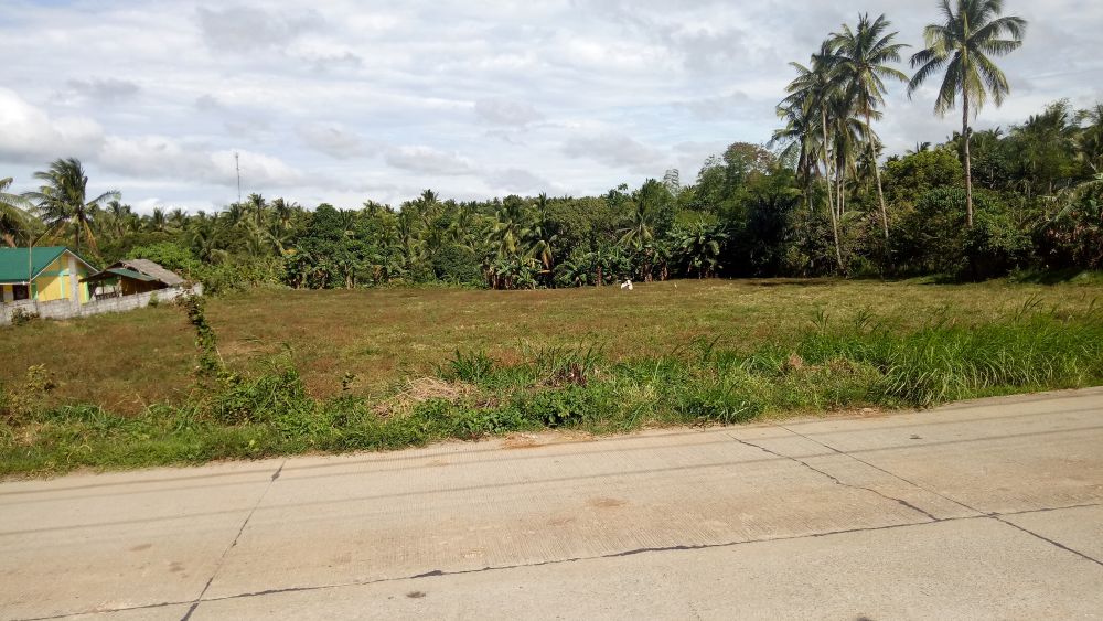 Agricultural Lot For Sale at Magallanes, Cavite