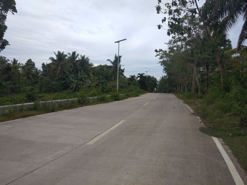 Cheap Lot 500 per sq.m. Along Provincial Road For Sale in Cortes, Bohol