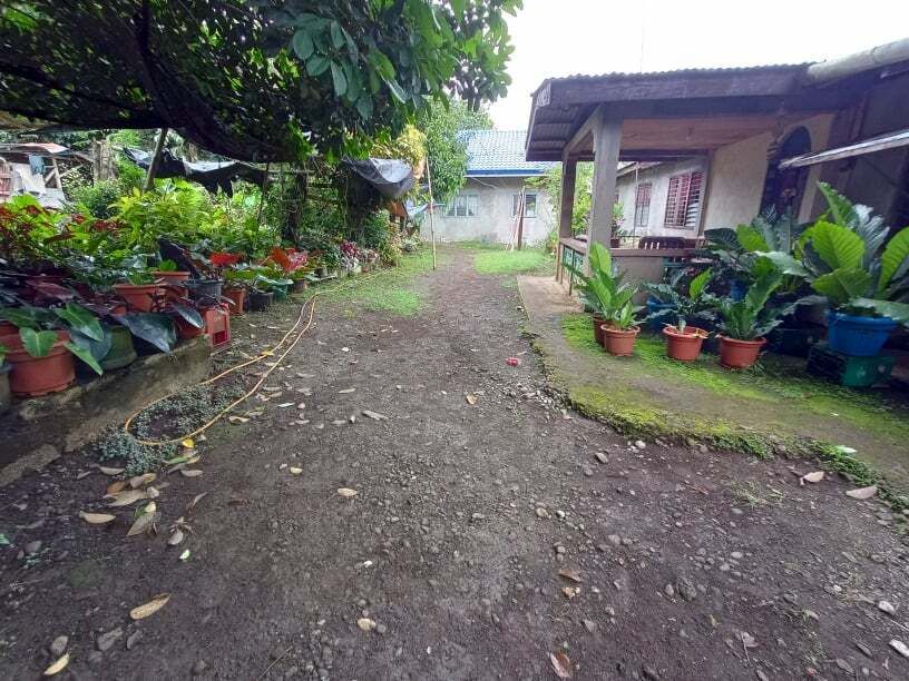 house for sale in lantapan , bukidnon 1,5 million peso negotiable