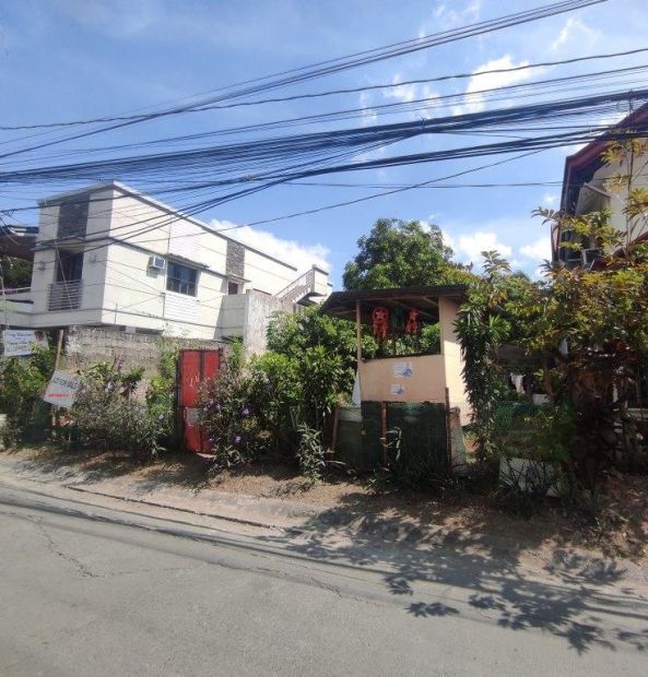 252 Sqm Residential Lot For Sale In Better Living Subdivision Parañaque