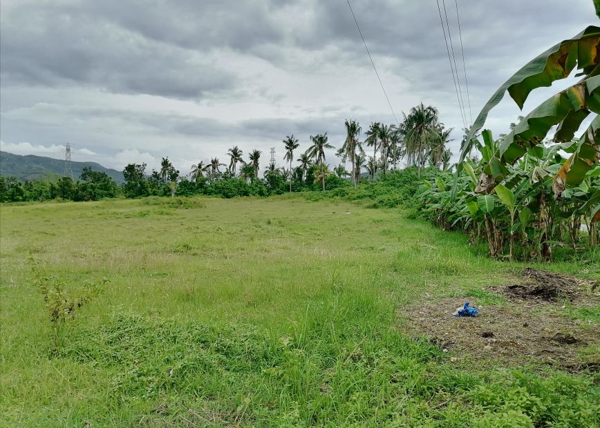 Titled 5 Hectares Farm Lot for Sale in Sibonga, Cebu