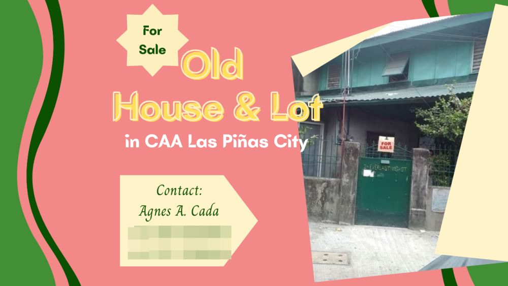 Old House And Lot In Caa Las Piñas City 2306