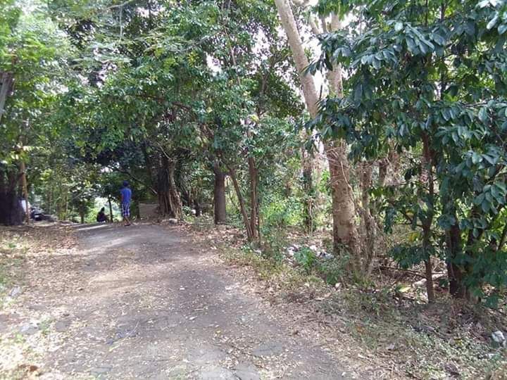 For Sale Lot Located At Sampaloc, Tanay, Rizal