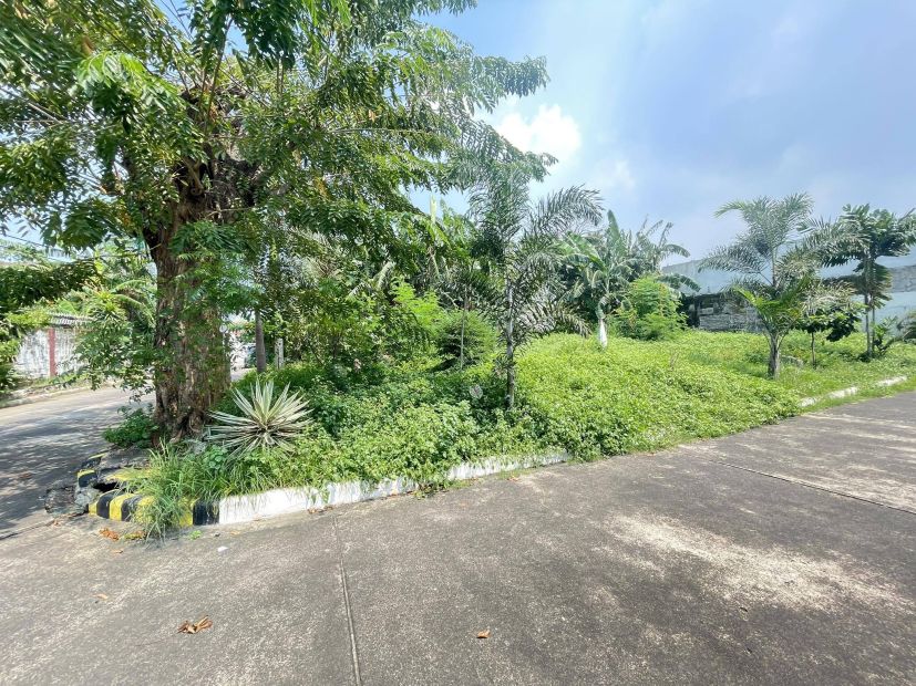 Residential Vacant Lot in Pleasant Village Tunasan Muntinlupa