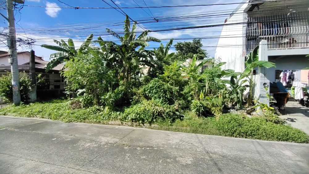 for-sale-vacant-lot-in-dona-josefa-village-almanza-uno-las-pi-as-city