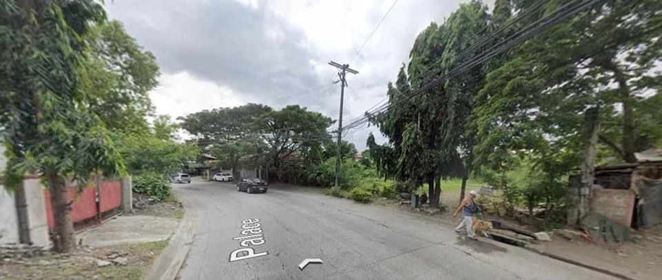 1096 sqm Lot for sale BF Homes Parañaque, 1096 sqm very accessible location