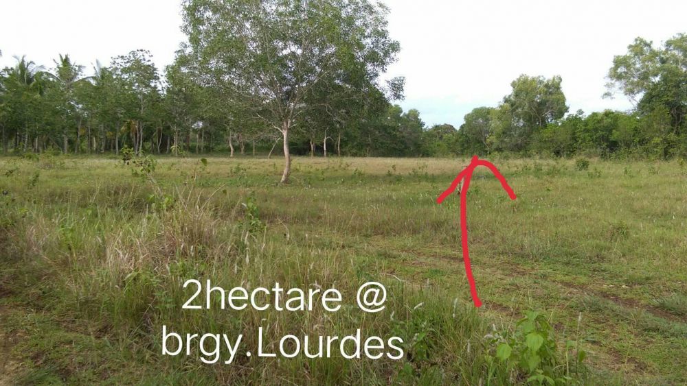 Lot For Sale At Brgy. Lourdes, Panglao Island, Bohol