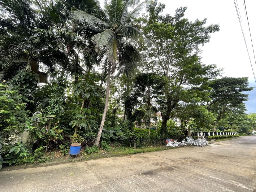 Good Buy Residential Vacant Lot in Tierra Maria Estates, Lipa City