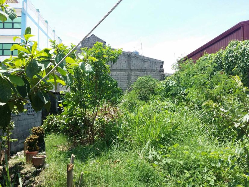 400 sqm vacant lot for sale in Green Valley Subdivision, Bacoor, Cavite