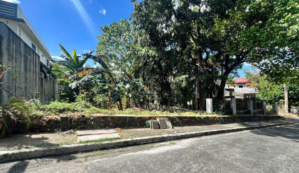 300 sqm Residential Lot for sale in Palos Verdes Executive Village ...