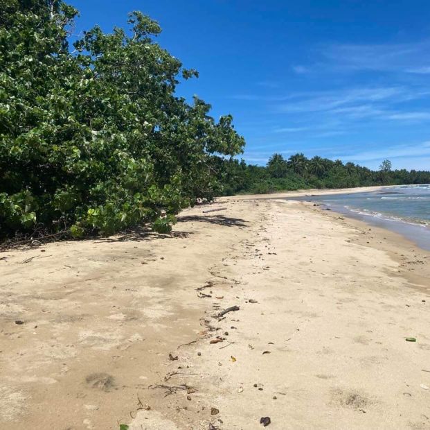 Beach Lot For Sale near SM future devt. projects, Puerto Princesa