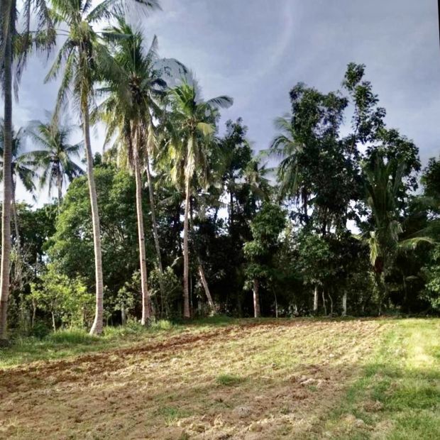 Beautiful 1,680 sqm Farm Lot for Sale in Abiacao, San Luis, Batangas