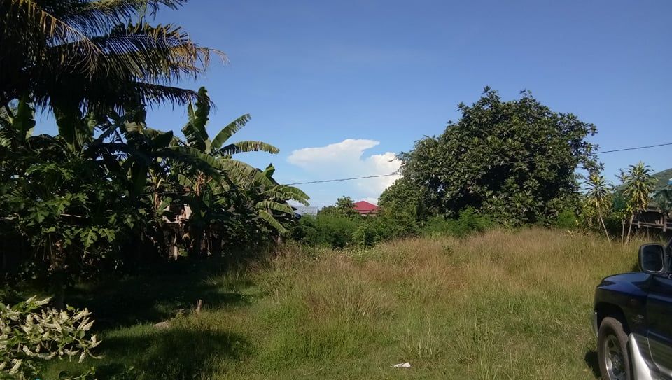 2,571sqm Lot for Sale in Tayud, Consolacion