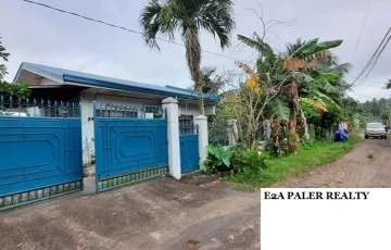 Single-family House For Sale in Bgy. 15 - Ilawod East Poblacion, Legazpi, Albay