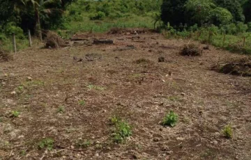 Residential Lot For Sale in Songculan, Dauis, Bohol