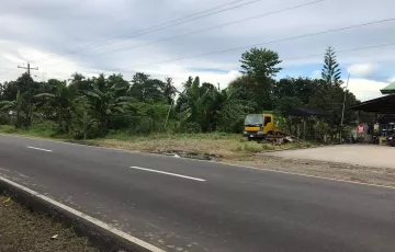 Agricultural Lot For Sale in Sangkol, Dipolog, Zamboanga del Norte
