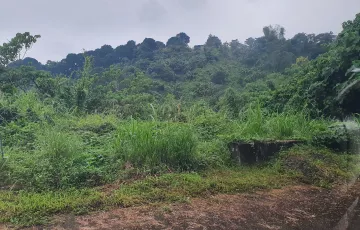 Residential Lot For Sale in Guitnang Bayan I, San Mateo, Rizal