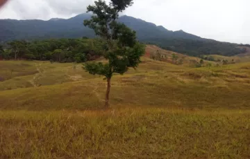 Agricultural Lot For Sale in Bagac, Bataan