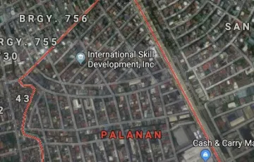 Commercial Lot For Sale in Palanan, Makati, Metro Manila