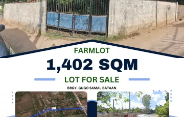 Agricultural Lot For Sale in Gugo, Samal, Bataan