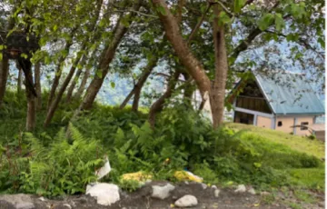 Residential Lot For Sale in Kamog, Sablan, Benguet
