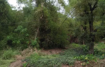 Commercial Lot For Sale in Pililla, Rizal