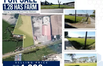 Agricultural Lot For Sale in Ala-Uli, Pilar, Bataan