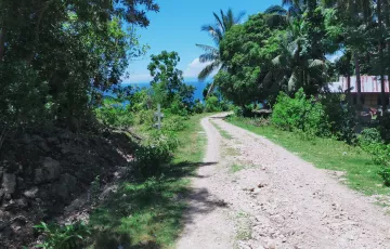 Residential Lot For Sale in Loon, Bohol