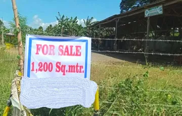 Commercial Lot For Sale in Tibal-Og, Santo Tomas, Davao del Norte
