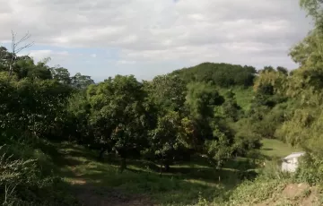 Land For Sale in Luisiana, Laguna
