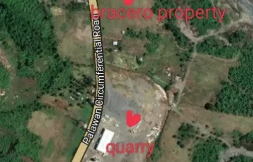 Commercial Lot For Sale in Ransang, Rizal, Palawan