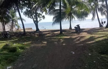 Beach lot For Sale in Sogod, Cebu