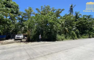 Commercial Lot For Sale in J.P. Laurel, Panabo, Davao del Norte