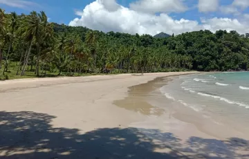 Beach lot For Sale in El Nido, Palawan