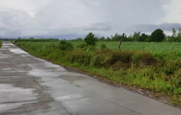 Agricultural Lot For Sale in Guimbala-On, Silay, Negros Occidental