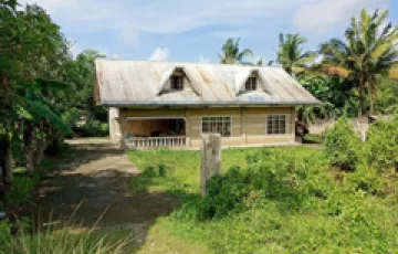 Single-family House For Sale in Baga, Naga, Zamboanga Sibugay