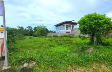 Commercial Lot For Sale in Magugpo East, Tagum, Davao del Norte