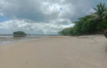 Beach lot For Sale in Calauag, Quezon