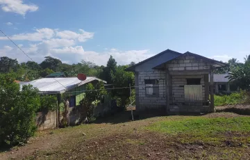 Single-family House For Sale in Malingin, Bogo, Cebu