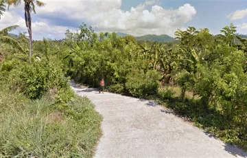 Commercial Lot For Sale in Alaminos, Laguna