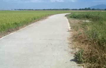 Agricultural Lot For Sale in San Luis, Pampanga